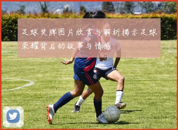 足球奖牌图片欣赏与解析揭示足球荣耀背后的故事与情感