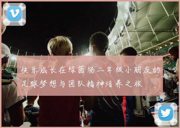 快乐成长在绿茵场二年级小朋友的足球梦想与团队精神培养之旅